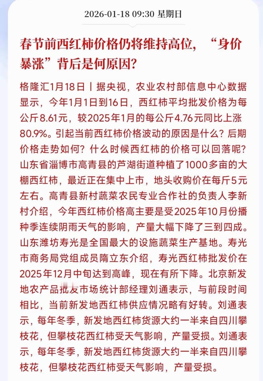 到了冬天，西红柿刺客又来了，吃起来比肉贵已经证实：西红柿将会一直维持在高位，并且