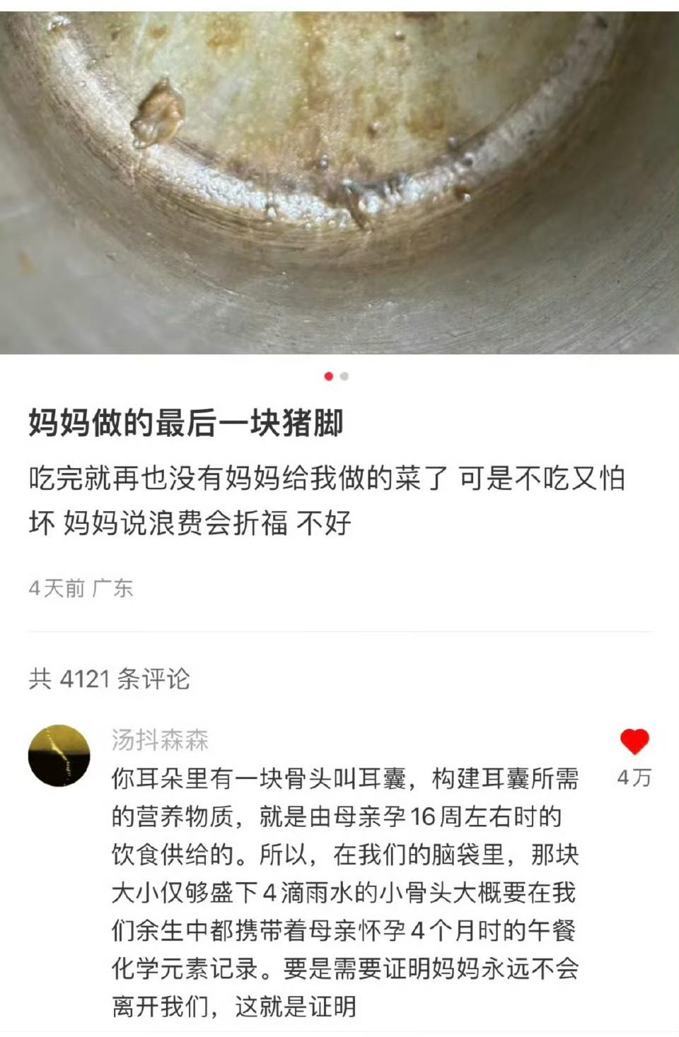 “妈妈永远不会离开我们，这就是证明！”医学上，内耳的骨性耳囊（骨迷路）在孕16