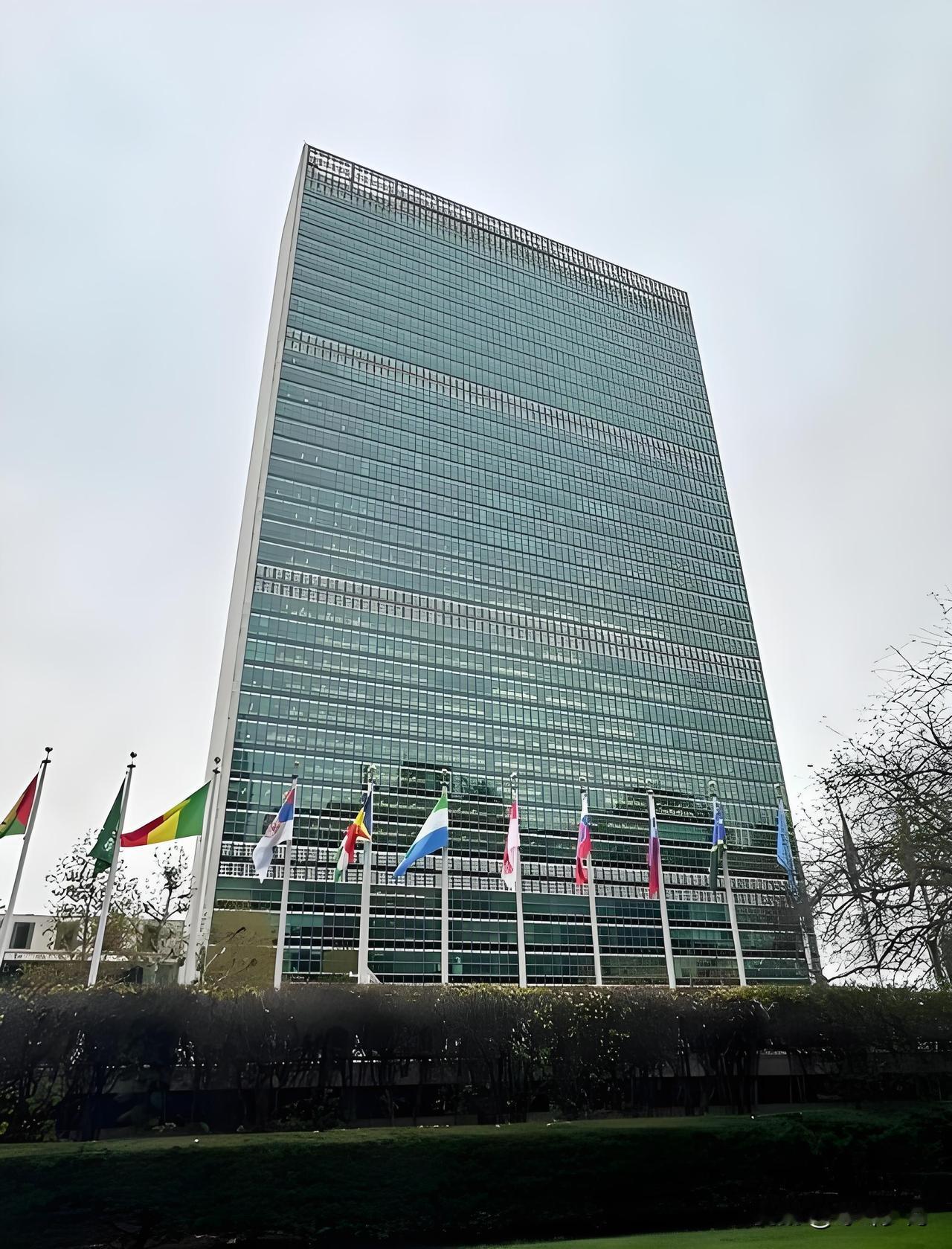 俄罗斯将计就计，让美国进退两难！美国总统特朗普，绕开联合国，准备另起炉灶，成立