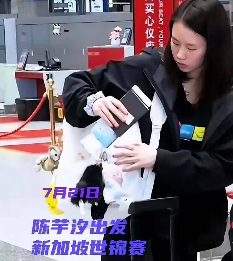 我有种预感，接下来的中国女子10米跳台，可能暂时要交给陈芋汐来统领了，因