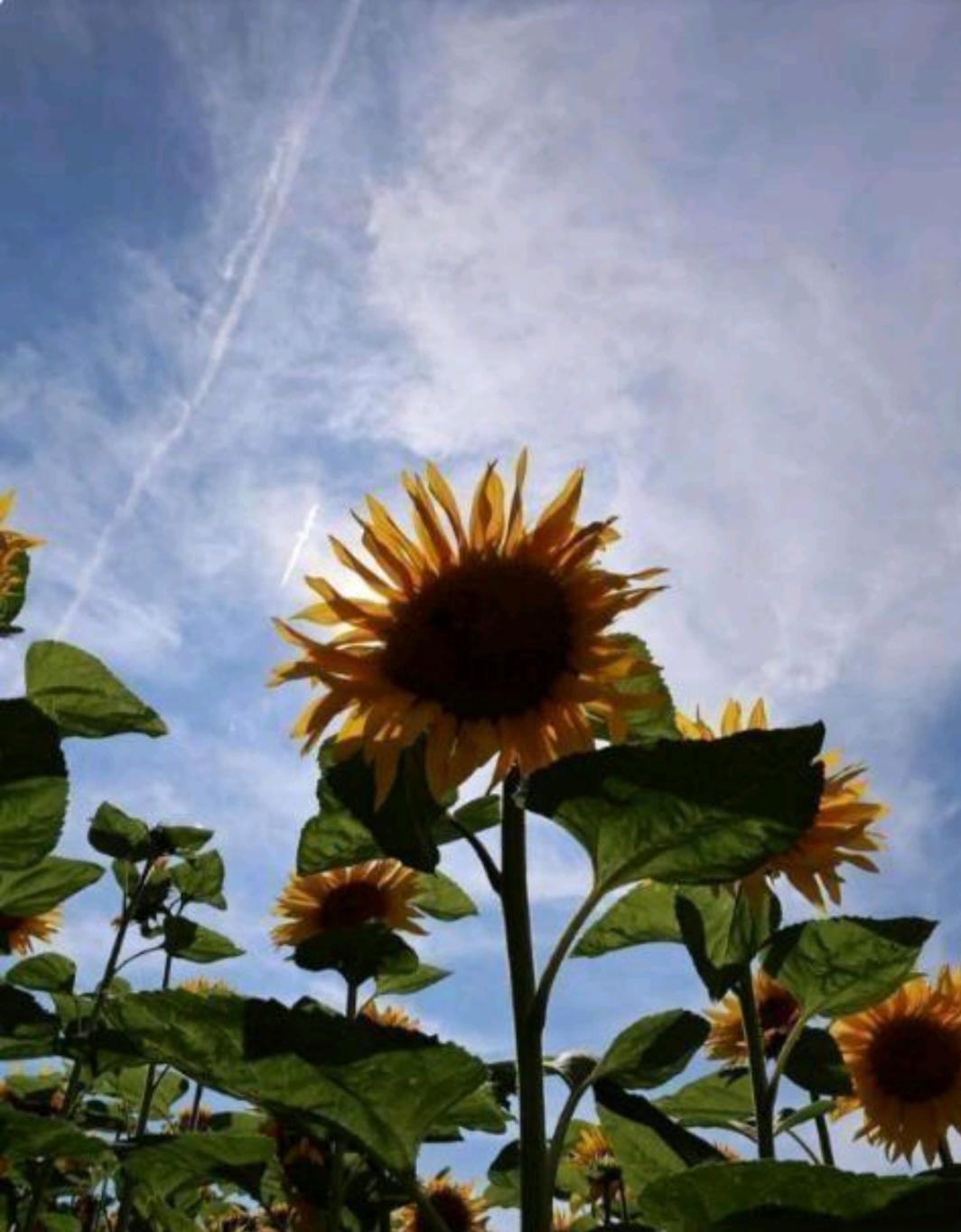自然界力量有多恐怖?咱就说，你大半个月不洗头，头上细菌疯狂繁殖。等你洗个头，那2