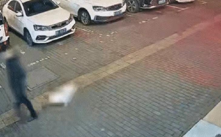 2026年江西新余首例！遛狗不拴绳致过路人被咬伤，结果行政处罚为罚款200元，