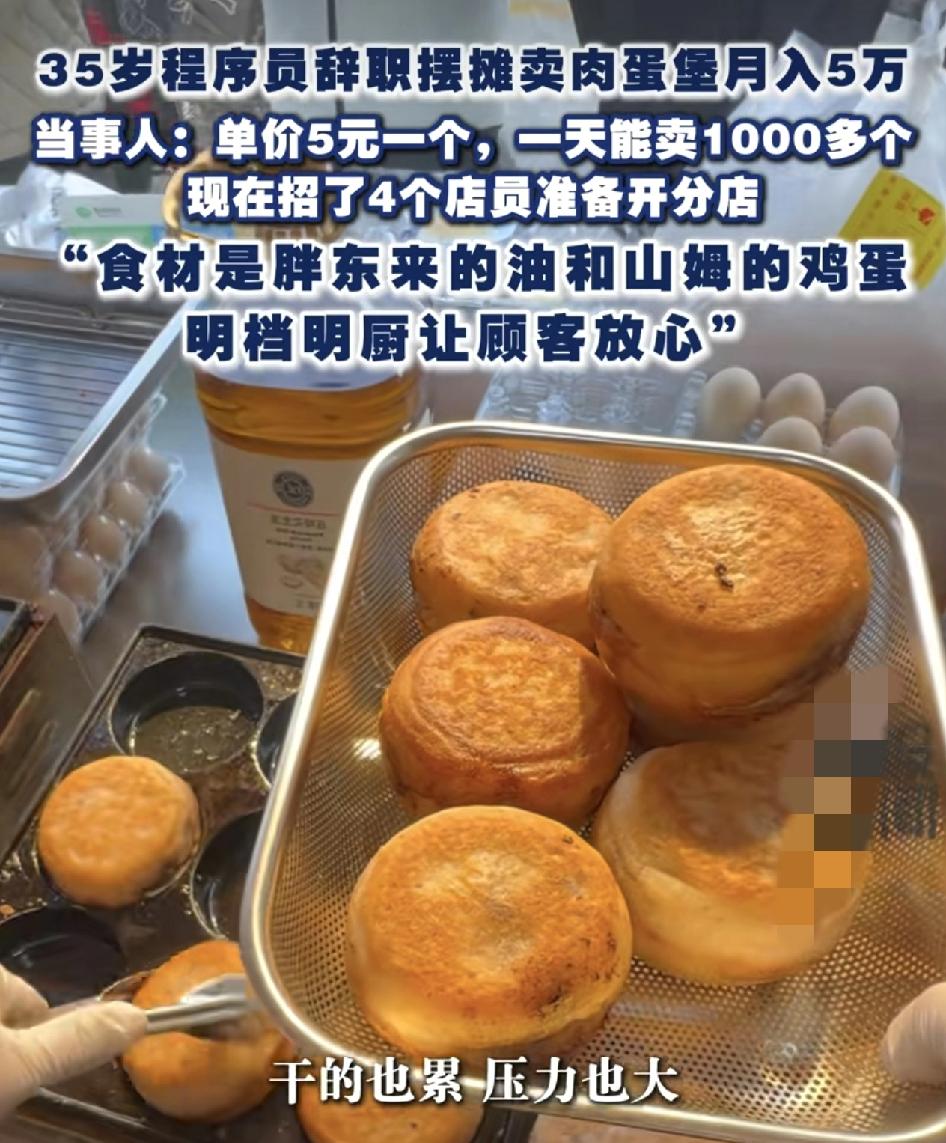 北京一位35岁的软件开发程序员辞职卖肉蛋堡月入5万，根本原因在于干的太累，压力也