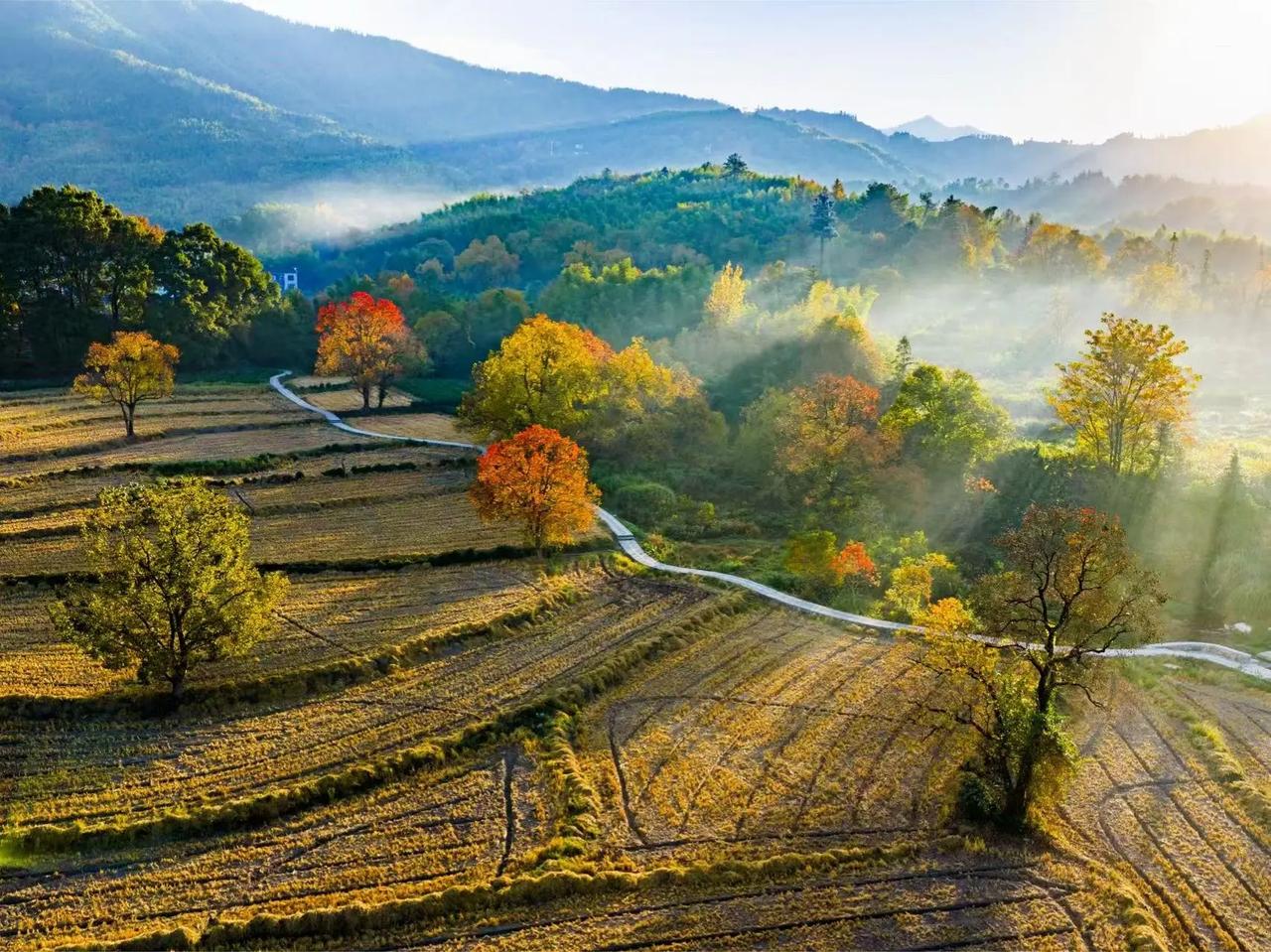 我的一个朋友是南京晓庄学院的老师，他自己家的孩子还比较小，他找我的主要目的就是他