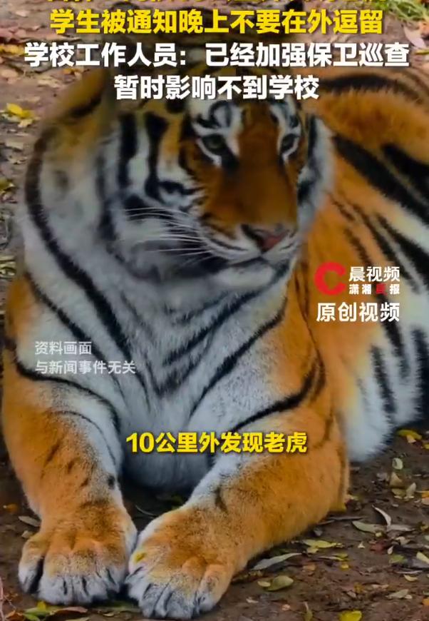 “虚惊一场？”吉林农业科技学院一名班长的群通知截图突然刷屏：“白庙子村距学校直线