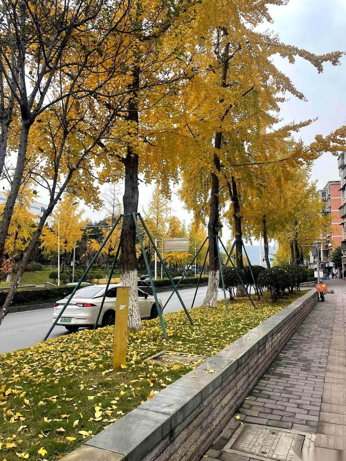 重庆有个村，在山里，叫东山村。每次媒体一报道，张口就是：“主城”东山村如何如何