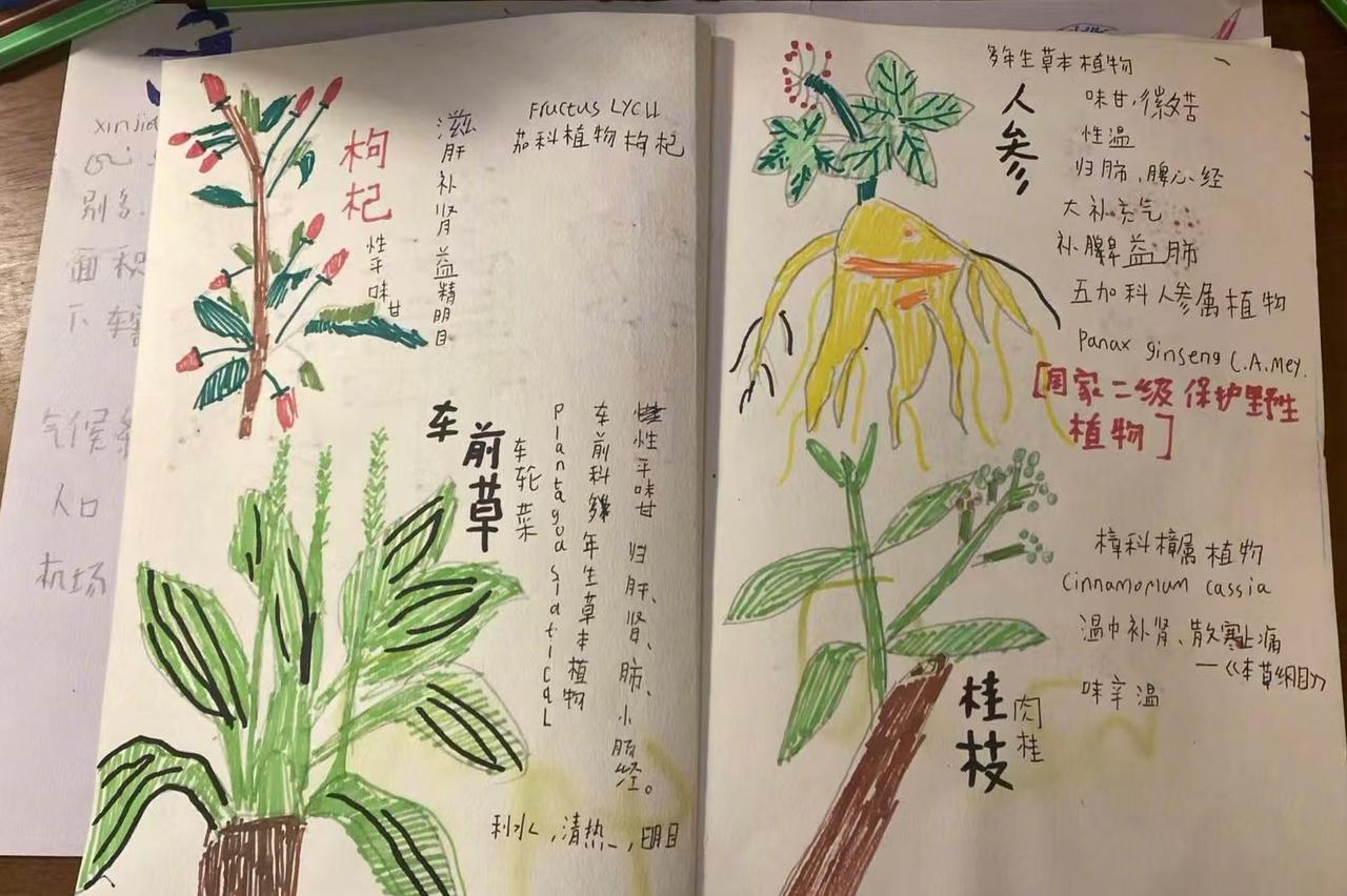 姚晨的儿子小土豆应该是娱乐圈里最有个性的星二代了。不是指他的长相，也不是性格，
