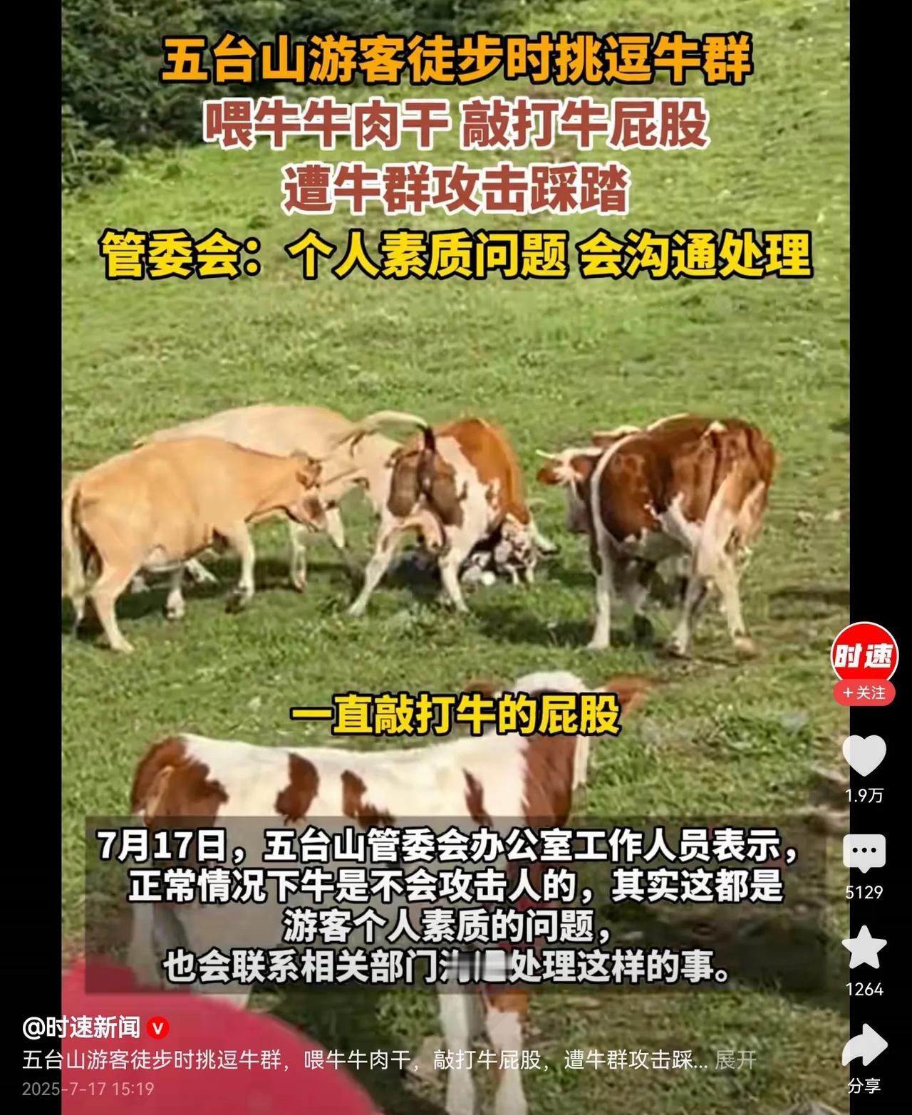 牛无责，人活该