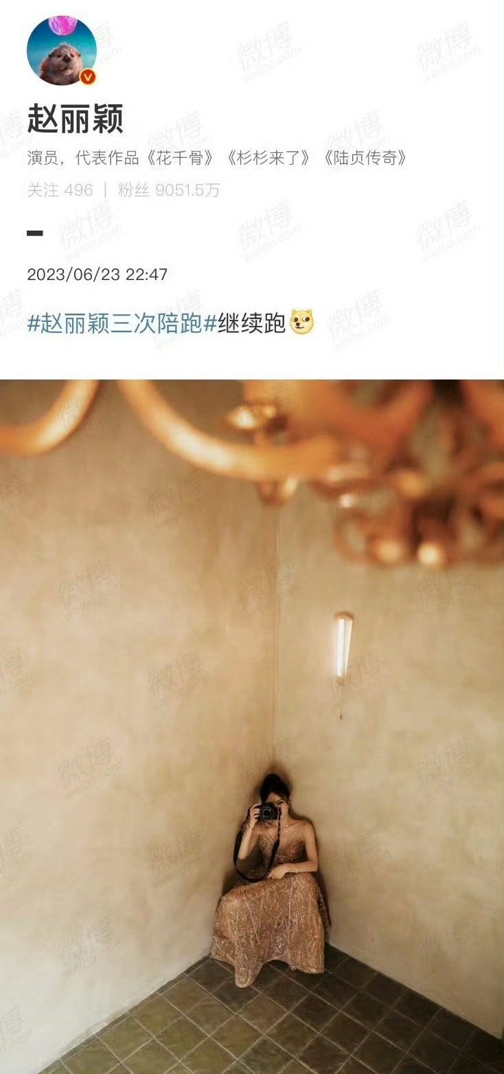 来解答一下为什么赵丽颖没入围，因为已经陪跑三次，只要入围一定是她的……今年有要求