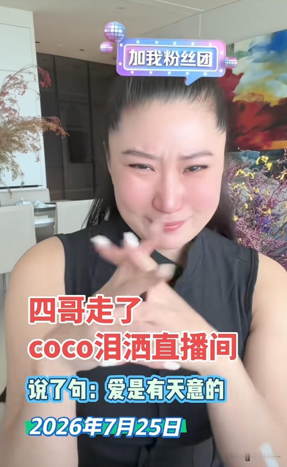 四哥离世后Coco直播泪崩，一句“爱是有天意”，看哭无数网友谢贤（四哥）离
