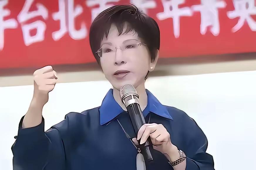 国民党大佬洪秀柱这回是彻底摊牌不装了！往常党内开会有人脸色不对，同僚都忙着打