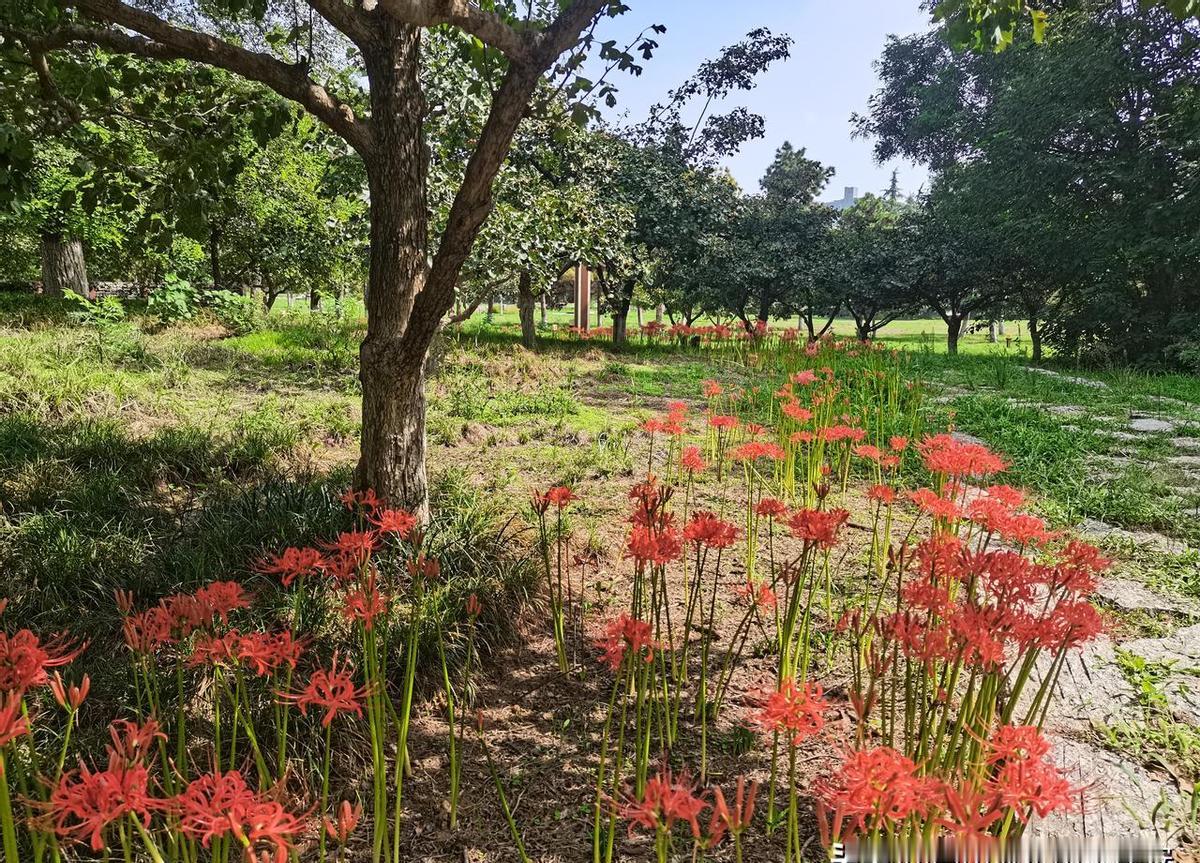 养老这事儿，真不是老人说了算。年轻人没经历过，就没人说话？别把话说死，谁都没