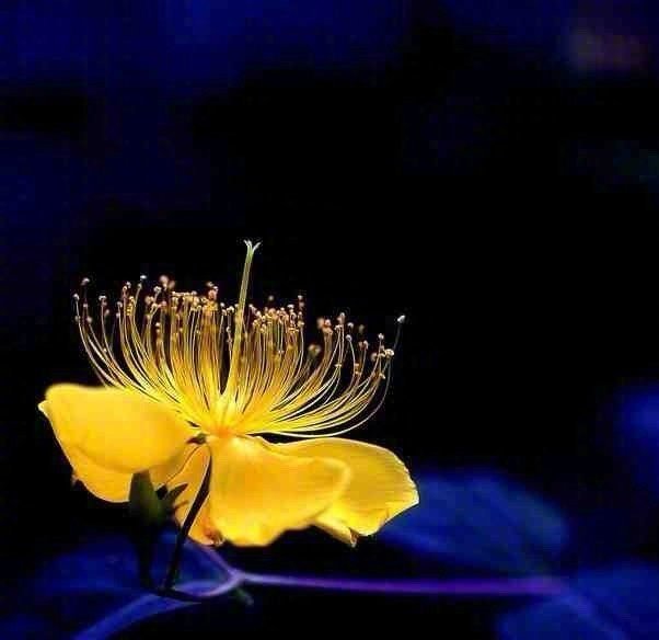 极致的美感，往往只会发生在两类叙事里：一是发生在宏大，宏观的叙事里，比如从太空中