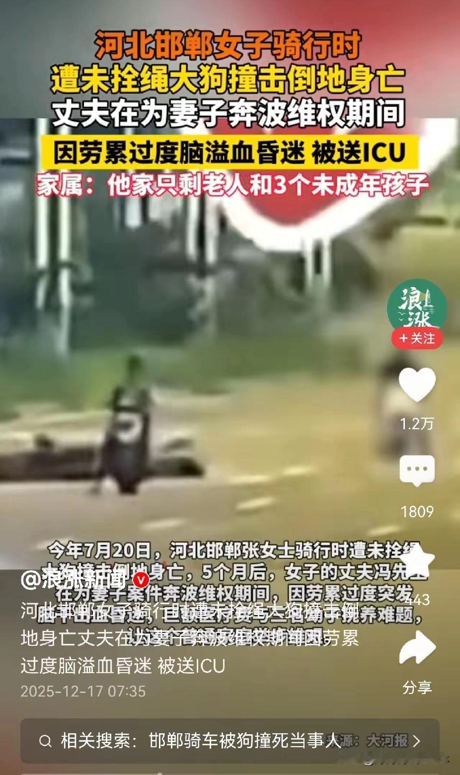 这建议看得我直拍大腿，必须举双手双脚赞成！早就该给那些“巨婴”狗主人上一课了。