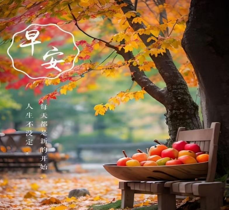 2025年6月10日星期二农历五月十五