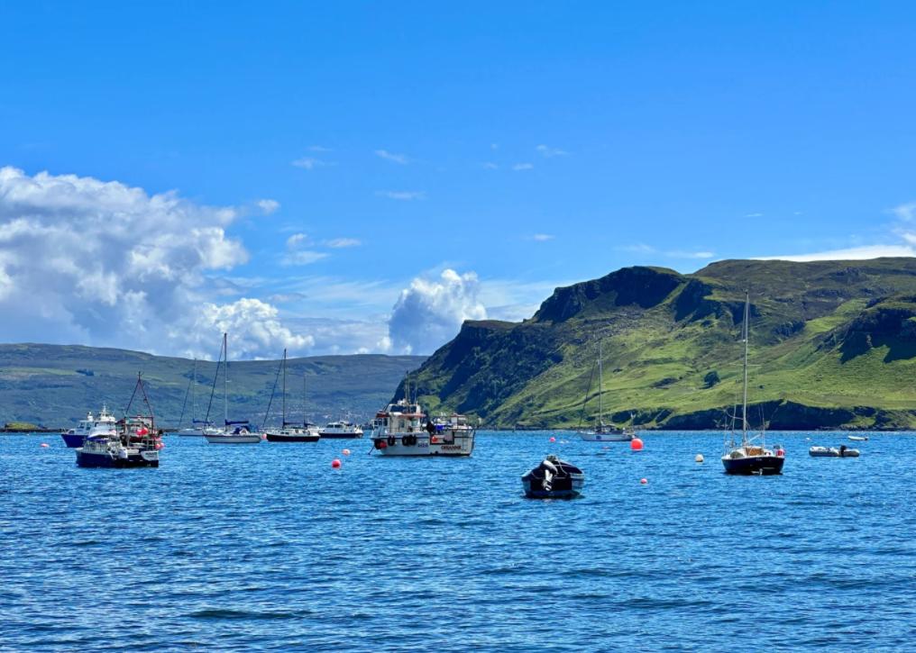 12生肖女容易输给谁？答案太准了！亲爱的朋友们大家好，我是海林小百科。今天我们