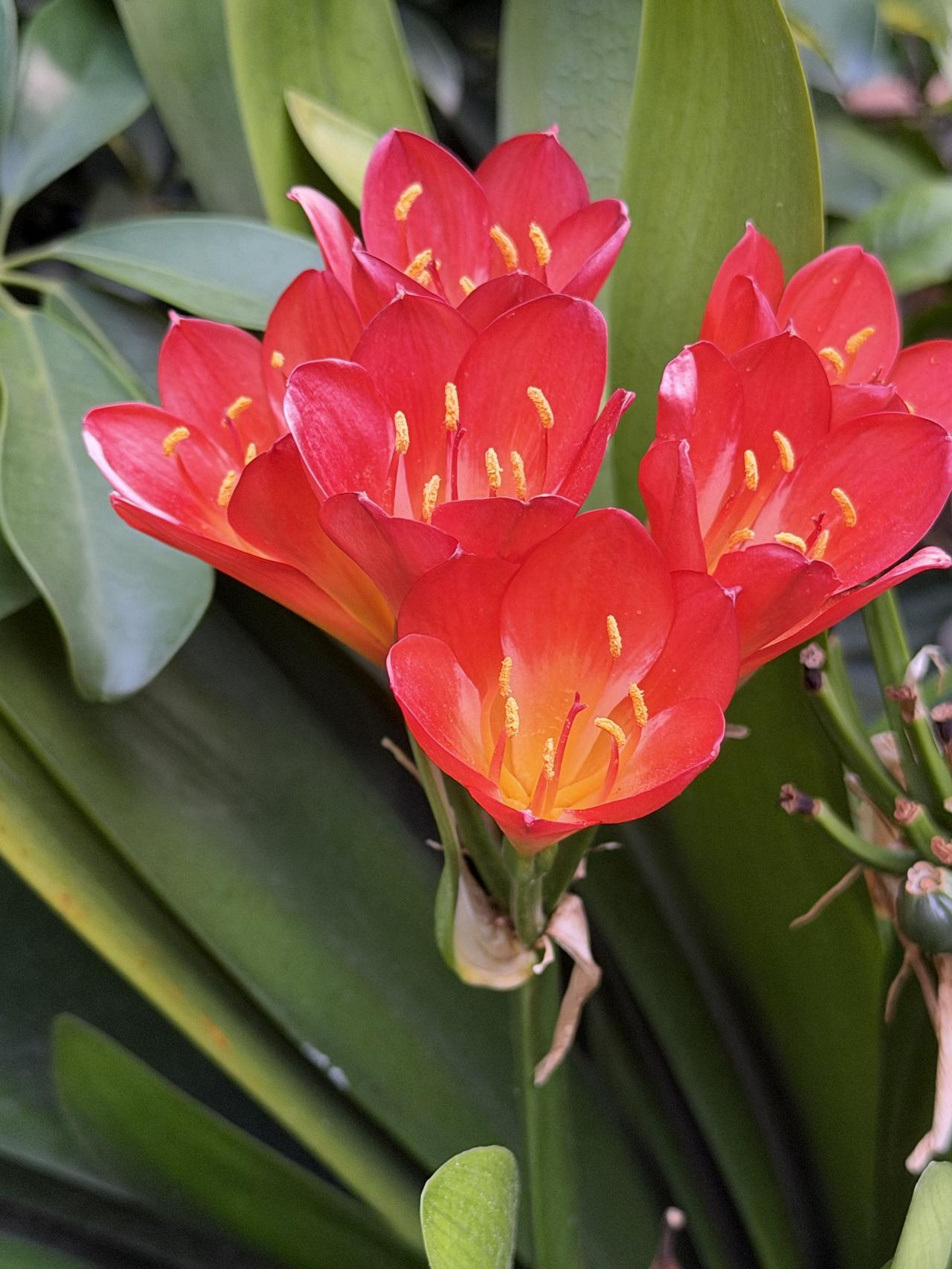 多次来大理，每次感触皆不同！大理之美，美在环境保护。于此，人与