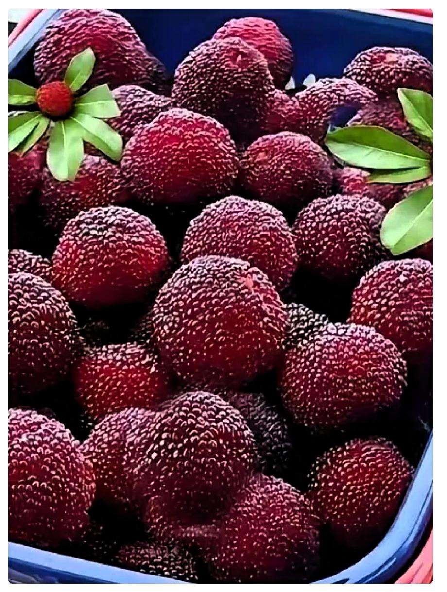 太吓人了！这事儿真是越想越后怕。15号我买了一筐杨梅，本来打算跟哥们儿泡点酒