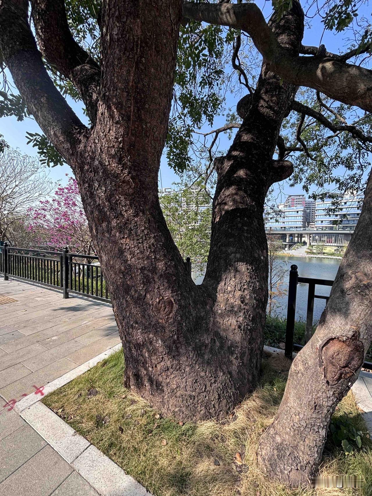 人生有4次翻身机会。第一次机会：含着金钥匙出生，降临在一个富贵美满的家庭。