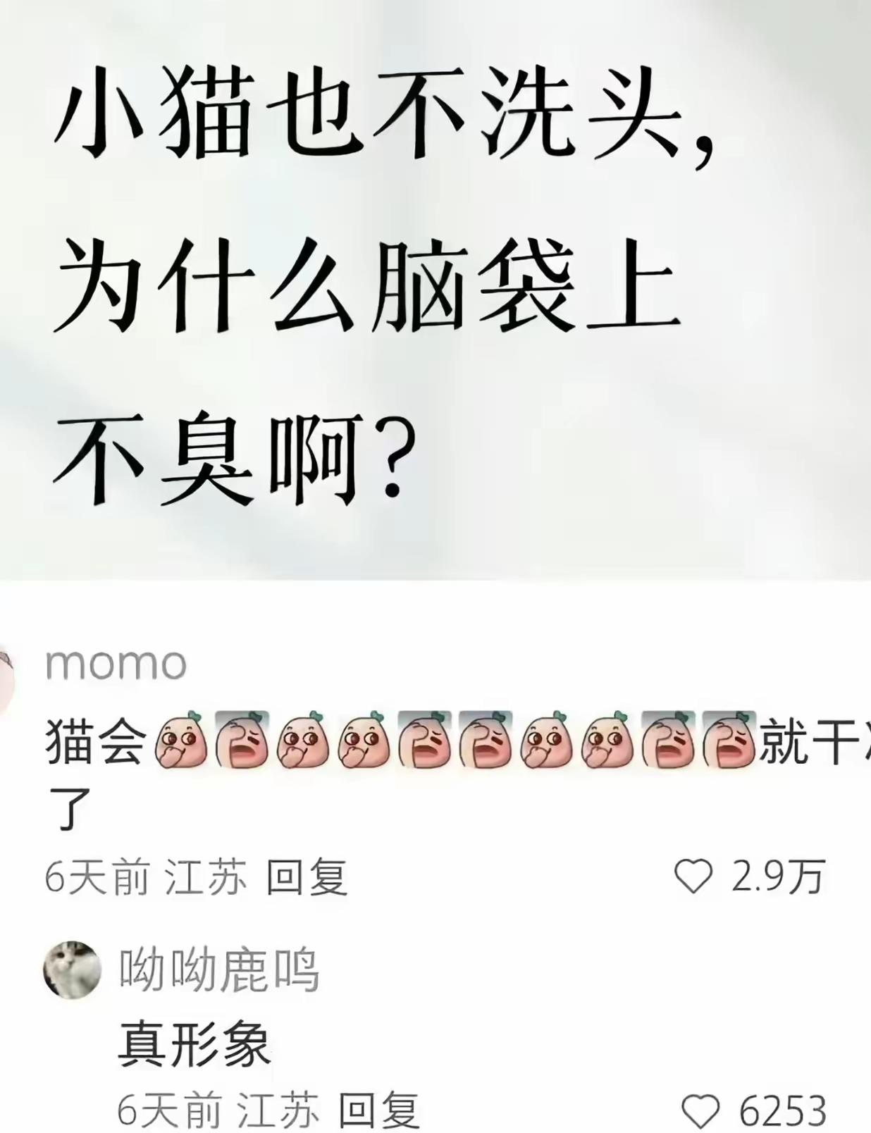 好家伙，真的很形象啊[笑着哭]