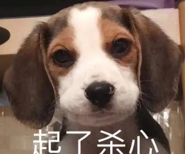 “腰部”不是骂人，是系统自动打的标。他上一部剧还是2023年，平台合同直接把他