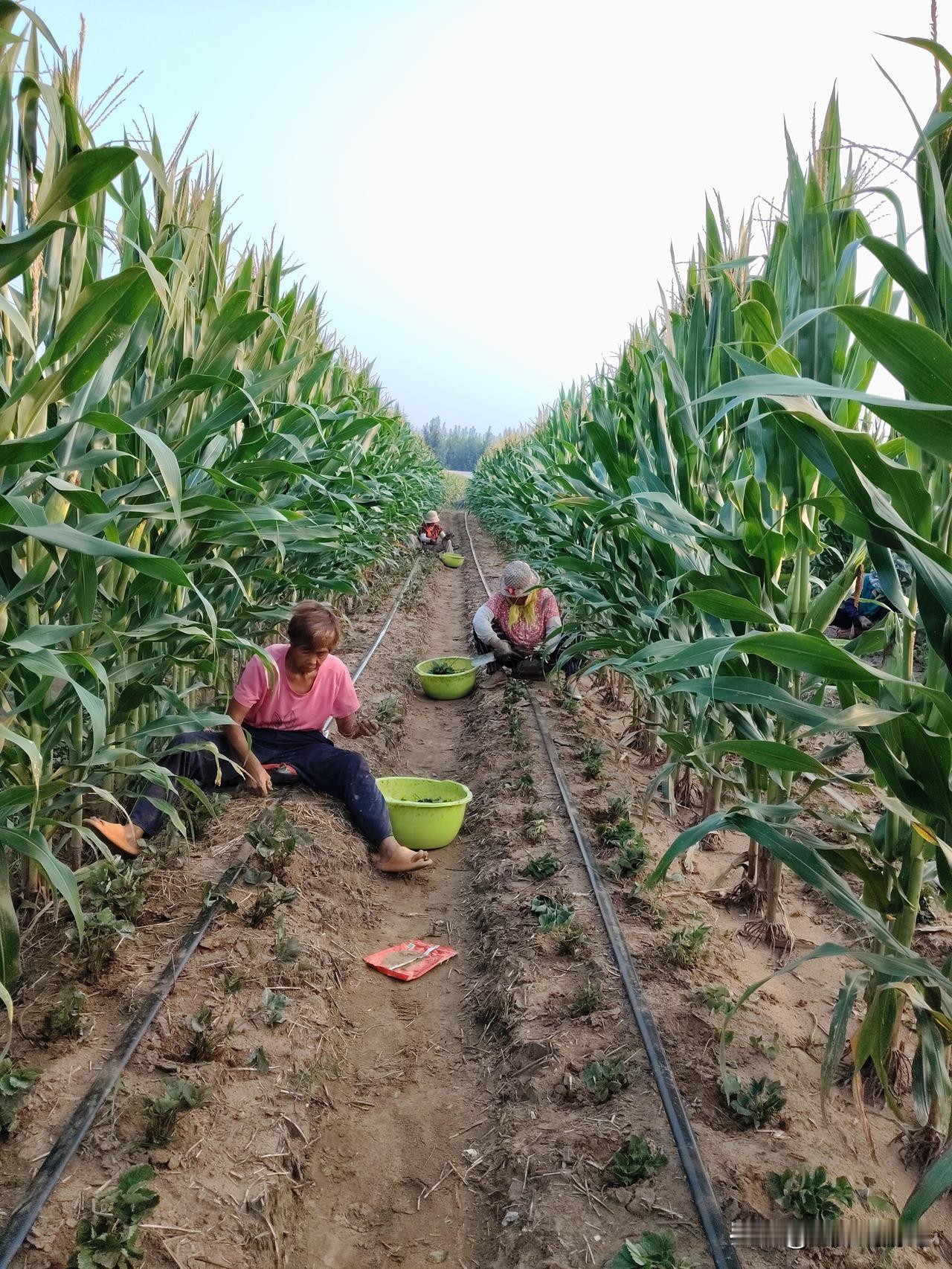 今天听我小叔说，他在银行的同学告诉他今年年后到现在买房货款的平均每月能摊上一户，