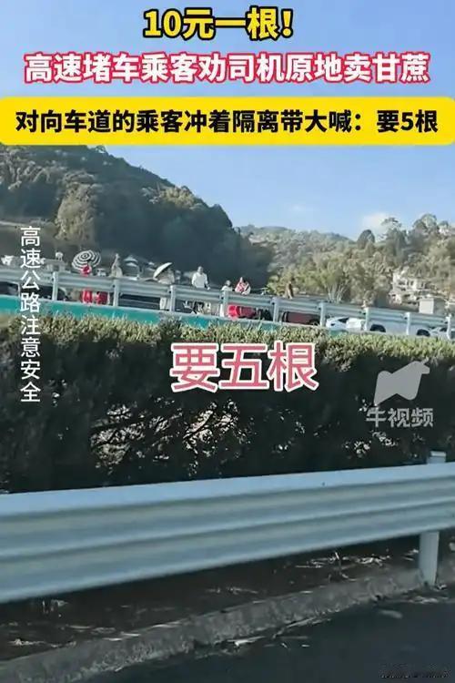 高速堵车堵出新花样，云南司机就地卖甘蔗火遍全网。（个人观点仅供参考，无任何不