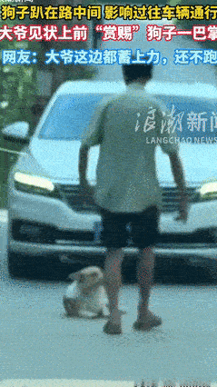 “笑不活了！”8月12日，贵州一小狗，悠然自得的卧在马路中间，导致来往车辆堵塞，