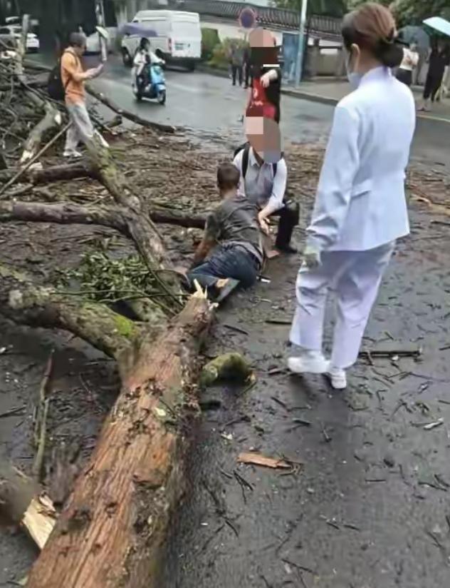 “到底谁该负责？”四川泸州一男子去医院看风湿病，刚停好车准备进门时，路边大树突然