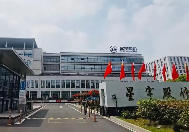 星宇的真正命门，从来不是欧盟的调查令最近关于星宇股份的讨论里，很多人把目光