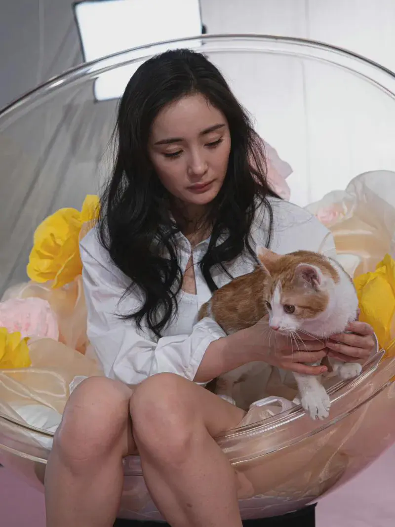 杨幂肉眼可见老了，也不知道还结不结婚了。