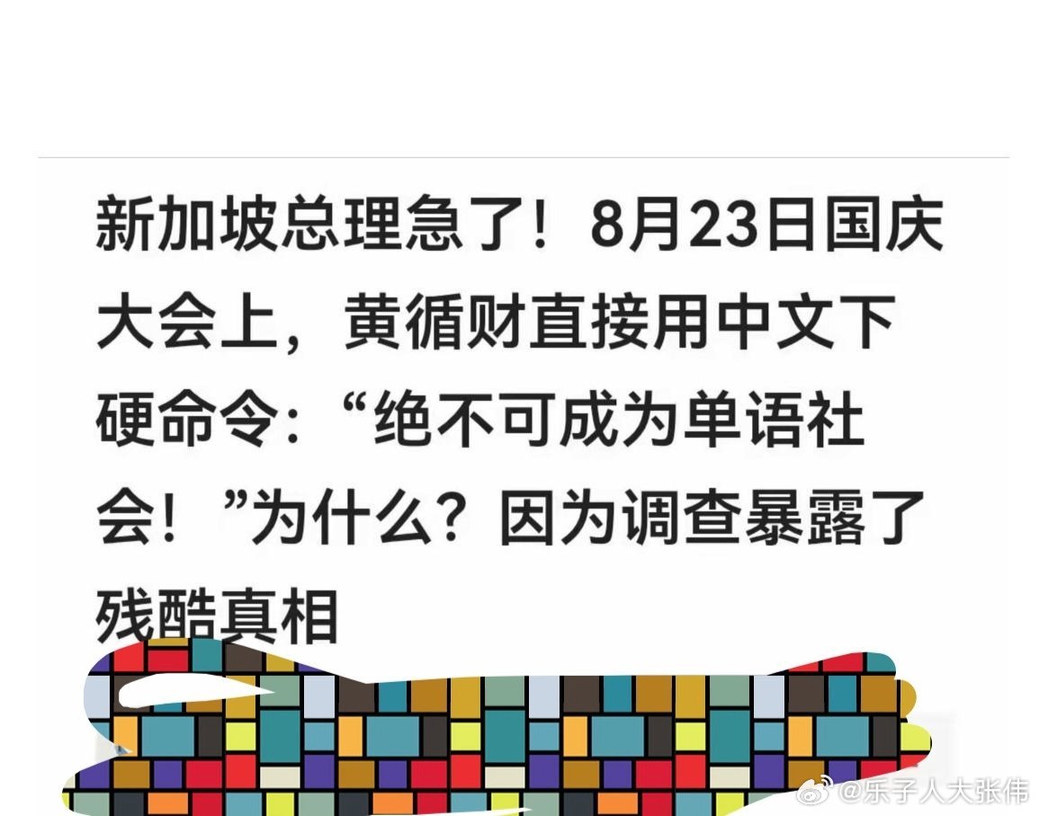 总有人说新加坡人不是合格的华裔。恰恰相反，新加坡的华裔思维可以说非常清楚。他们非常清醒的知道，在“天