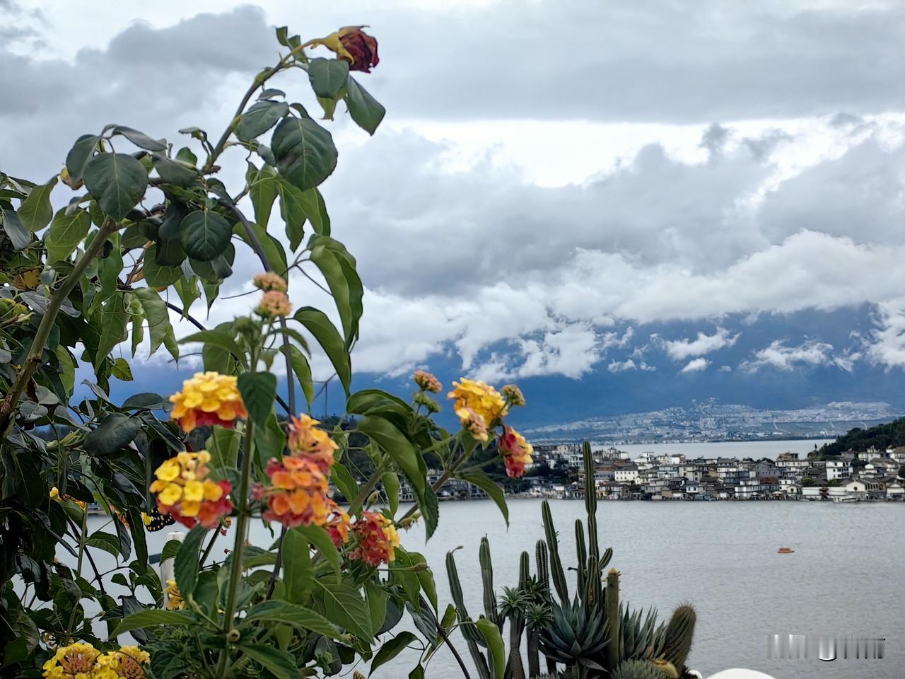 退休后别闲着！3个零门槛爱好，让我们越活越年轻。友友们，虽然咱们退休了，但