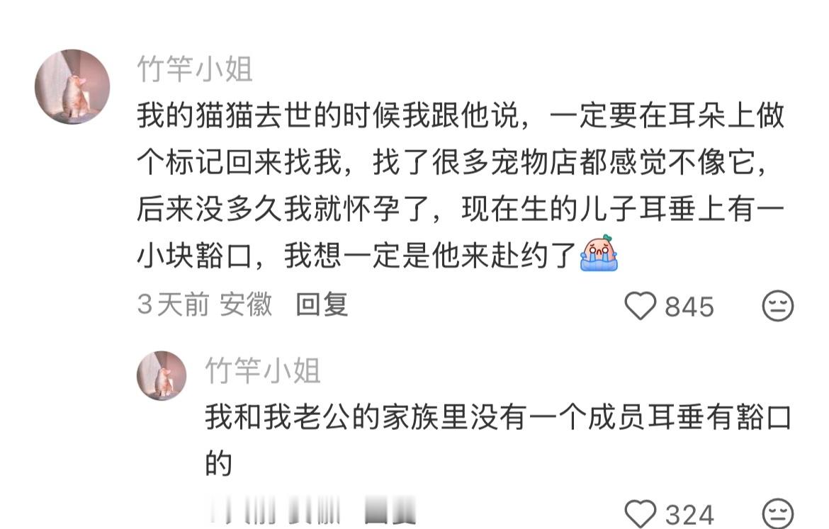 杀我别用小猫刀