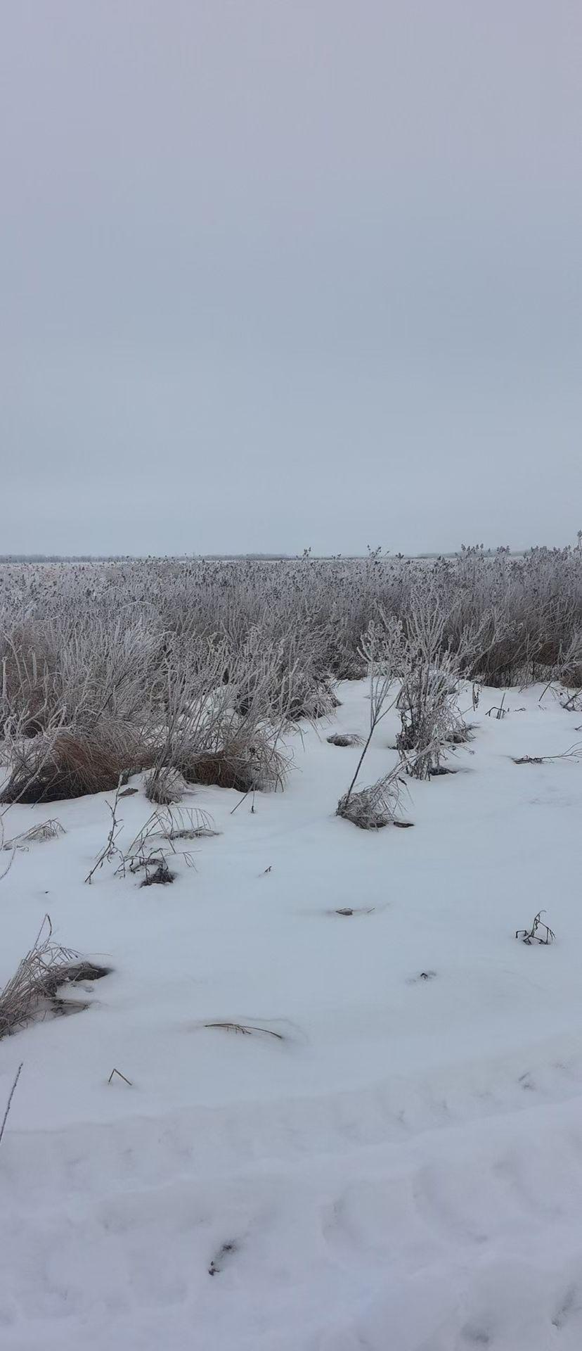 南方小土豆发誓再也不上哈尔滨玩了：​带两万准备玩六天，结果第一天就花完了，滑雪