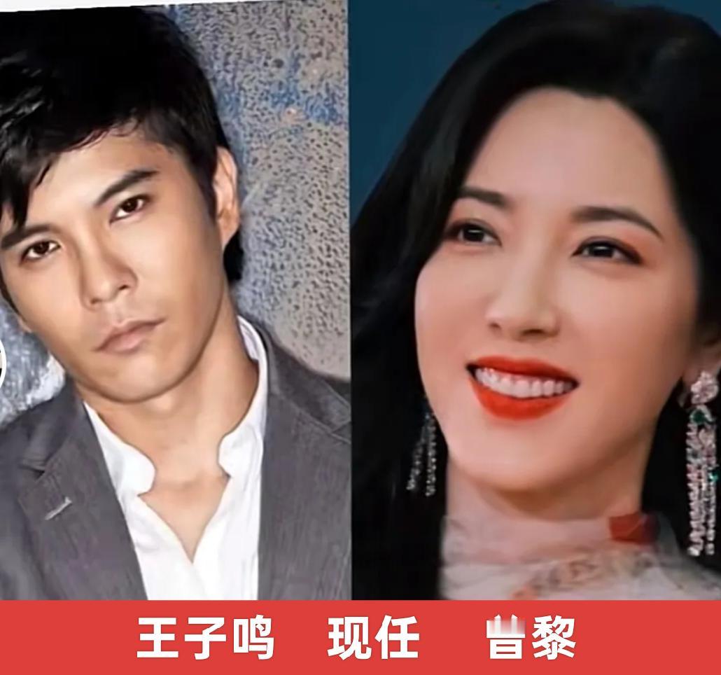 中戏校花曾黎颜值封神，四位实力派情缘皆意难平，兜兜转转半生情路坎坷，无人能留住绝