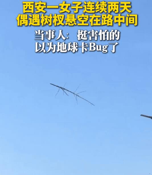 西安女子连遇两次“悬浮树杈”：以为是地球卡bug，拆开“补丁”才发现是悬在路人的