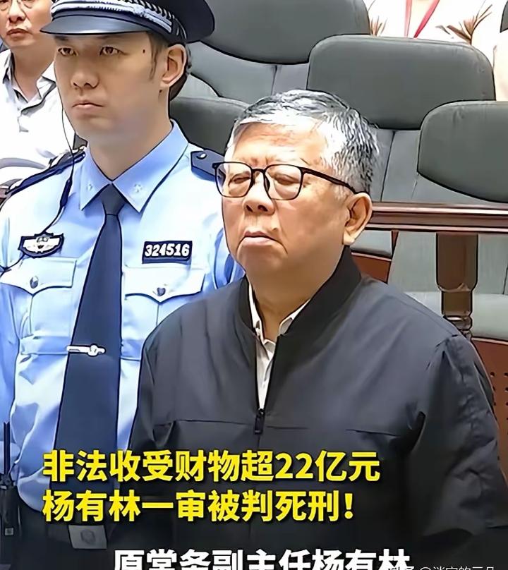杨有林10年贪污22.14亿元，职位不高，胆大的吓人，这次向贪官打响了第一枪，判