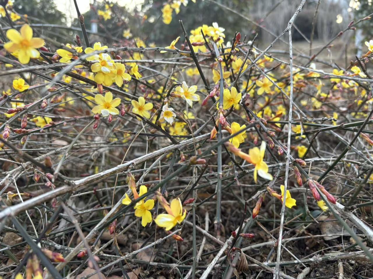 发现一个真相:有福气的女人，都有一个共同特点：对别人够“狠”。人人都说我是个