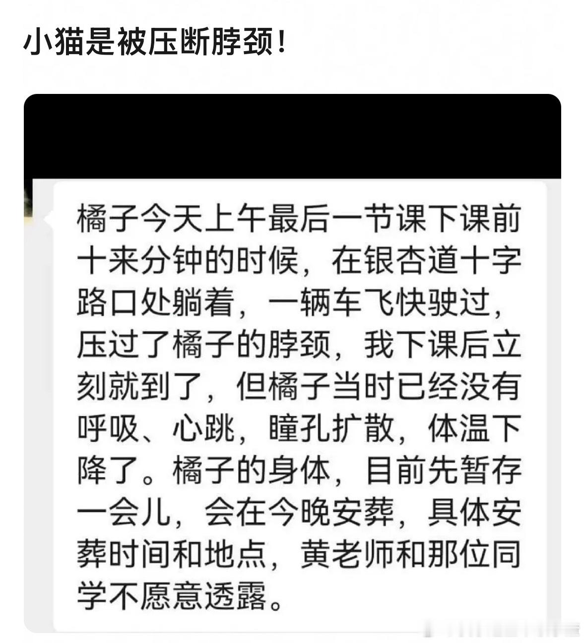 真的好可怜的小猫啊​​​