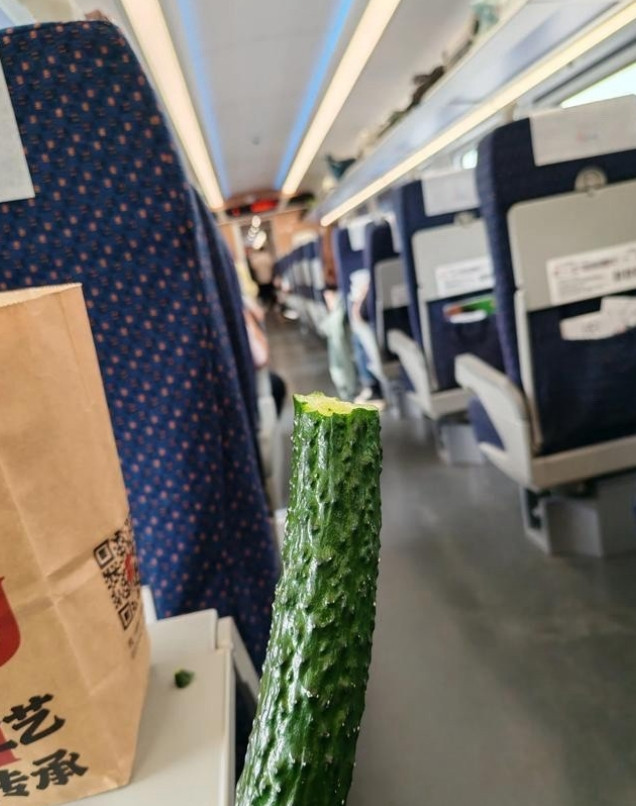 昨天中午从北京回青岛，好不容易抢到票，结果上车后发现空座好多，一路上发现全程都有