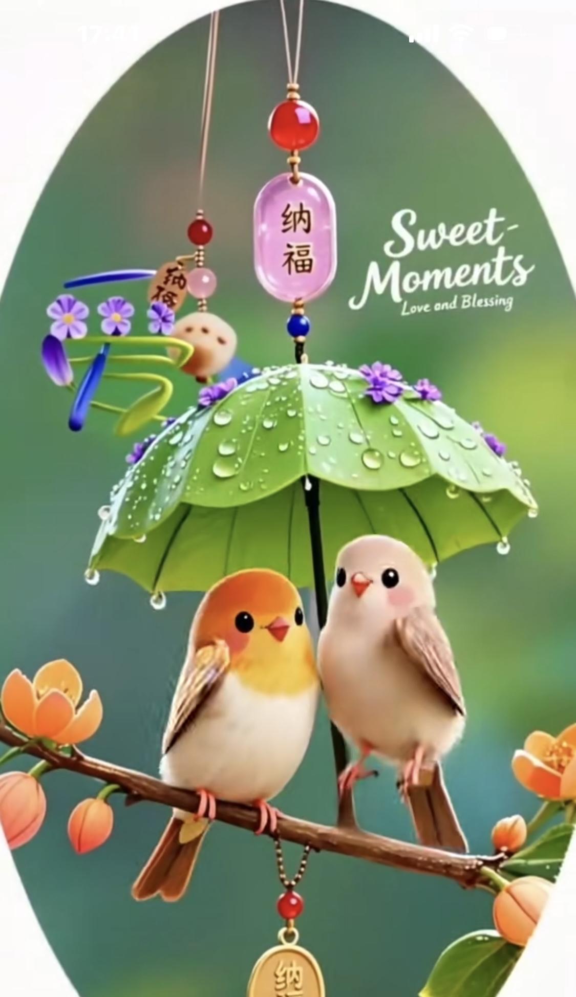 #分享早上好的晨语#[玫瑰]🌞[玫瑰]今天是6/27号周五大家早上好