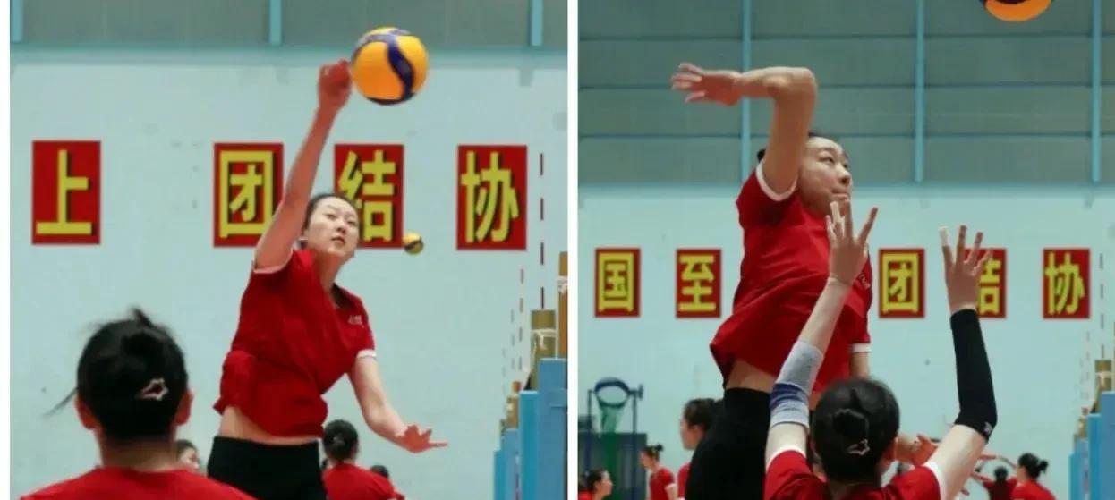 赵勇有点冤...！除了主教练外，女排教练团队的分工，目前主攻指导和发挥效果