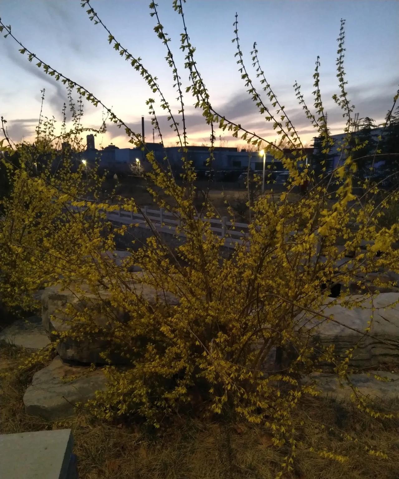 我舅家的小姑娘今年大学毕业，在济南上的专科，后来专升本，不知道读了几年！刚毕业还