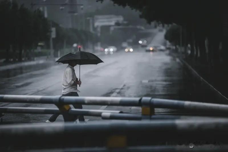 上联：一场轻风吹绿叶，诚邀下联傲雪冰冰、花艳还未放岱晓露寒霜、不明暗斑处，根茎、