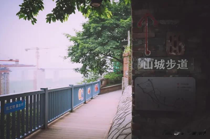 山城步道慢慢走，重庆最好的风景藏在慢行路上重庆到处是坡坡坎坎，以前爬坡是负担。