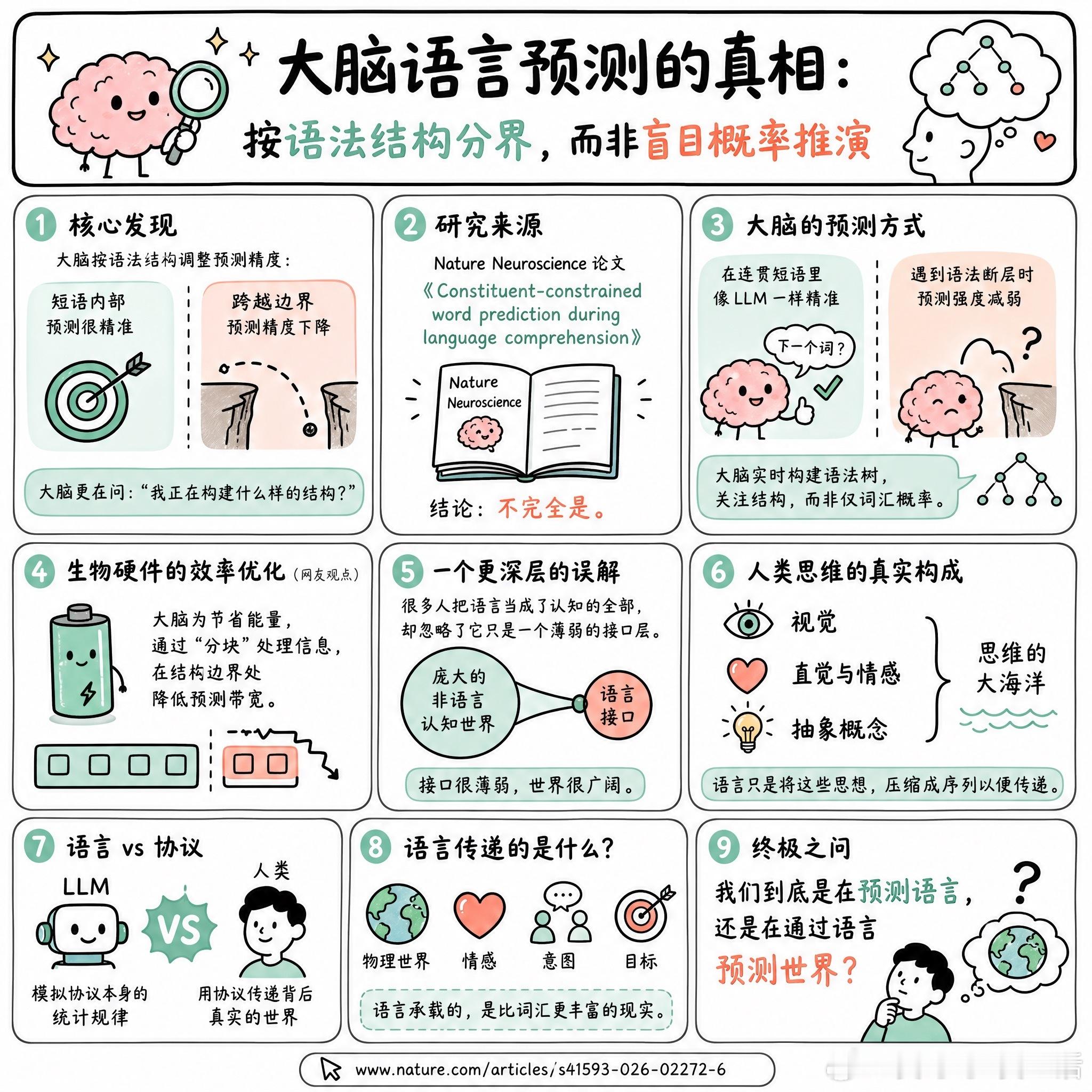 【大脑语言预测的真相：按语法结构分界，而非盲目概率推演】快速阅读：大脑在处理语言