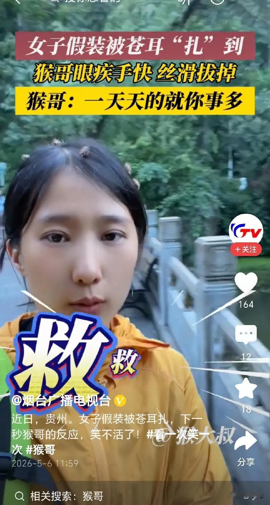 笑岔气了！贵州，女子在景区游玩，故意抓了一把苍耳粘在头发上，然后慌慌张张的跑到猴