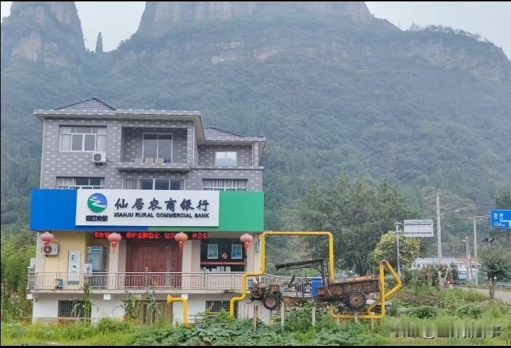 大开眼界乡村振兴？