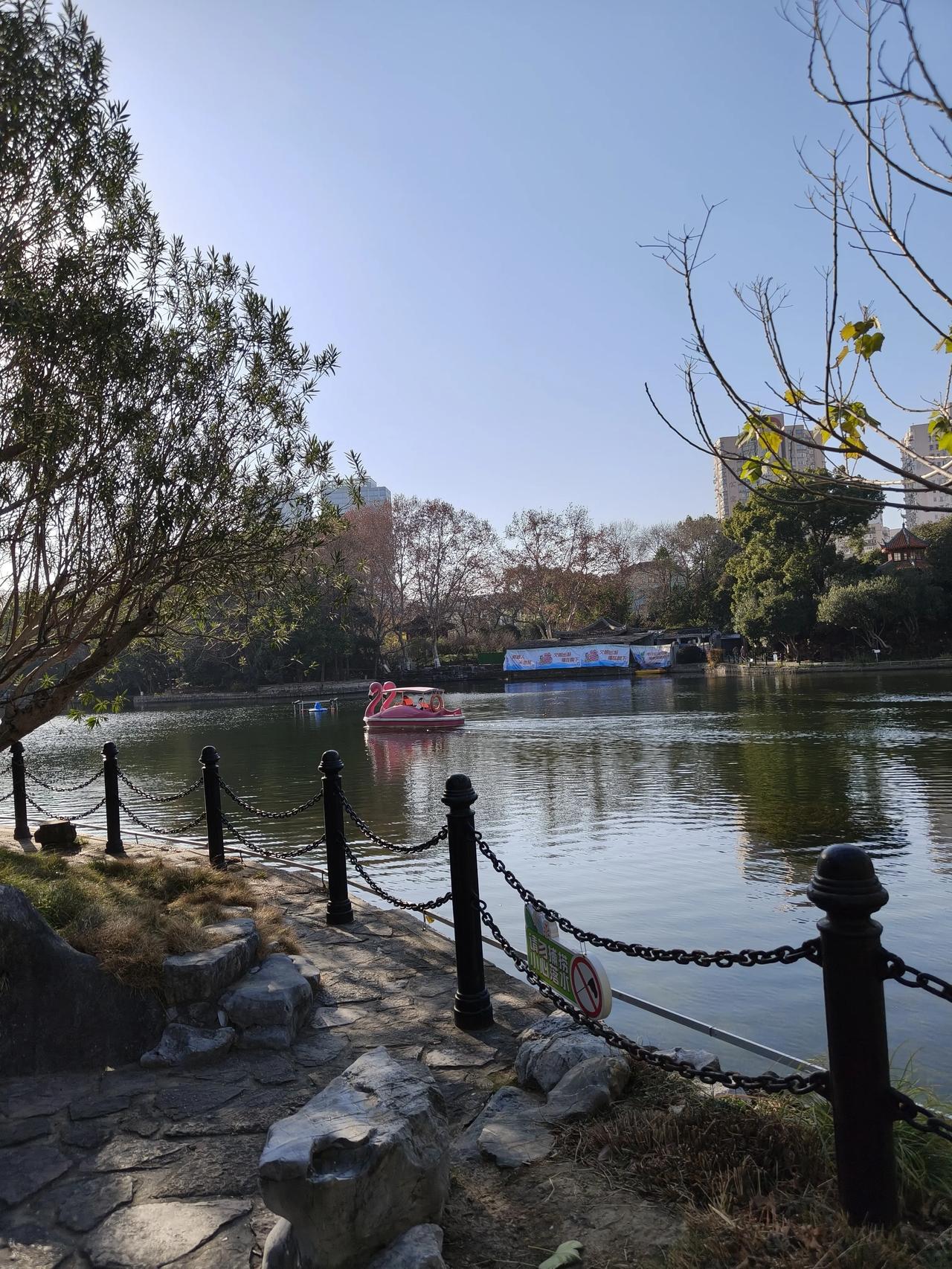 冬日午后公园散步随手拍实景图分享！打卡家门口的鲁迅公园～天气好的时候，公园里